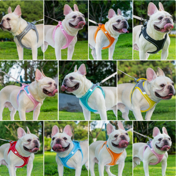 Reflective Breathable Mesh Pet Vest Harness & Leash Set for Dogs & Cats