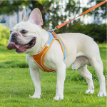 Reflective Breathable Mesh Pet Vest Harness & Leash Set for Dogs & Cats