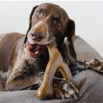 Bacon Flavored Nylon Dog Bone Chew Toy for Aggressive Chewers