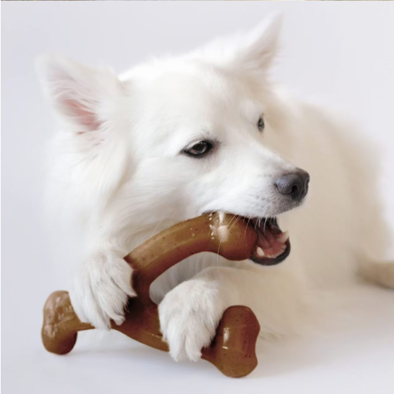 Bacon Flavored Nylon Dog Bone Chew Toy for Aggressive Chewers